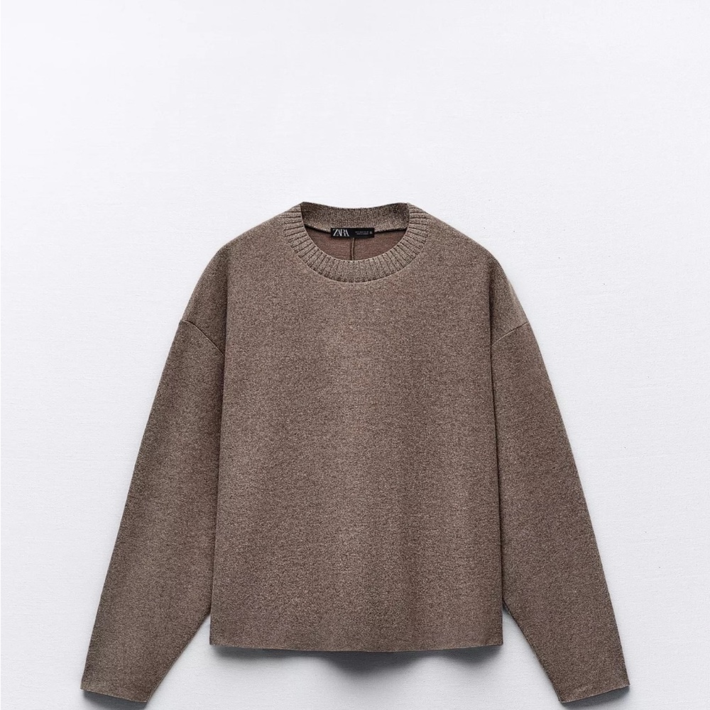 Zara Brown Sweater